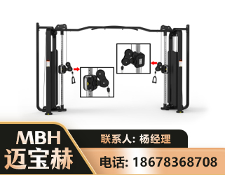 丹东大飞鸟训练器