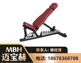 丹东可调哑铃椅