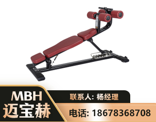 丹东可调腹肌板