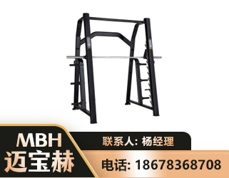 丹东史密斯机